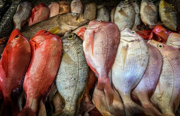 Photo taken in Maputo, Mozambique